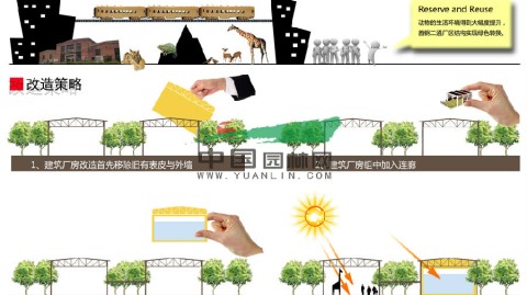 动物乌托邦不是梦：2026动物园规划设计方案全攻略